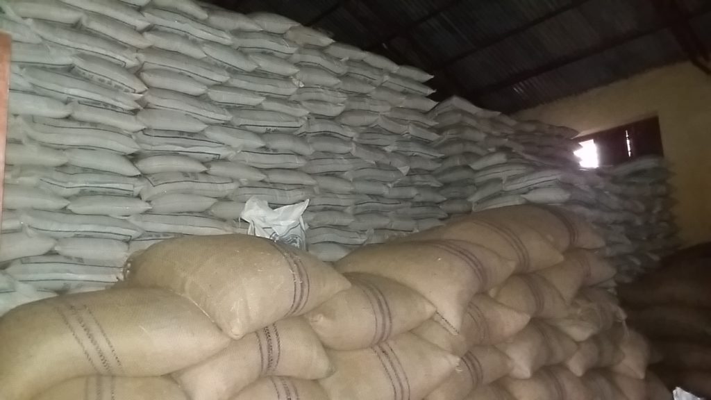 दुर्गम गाउँमा चरम खाद्य संकट परेपनि सदरमुकाम स्थित खाद्य सस्थानको गोदाममा रहेको चामल । तस्वीरः राजेन्द्र कार्की/खबरइरा