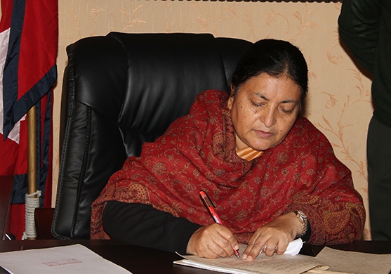 Bidhya-Bhandari-1