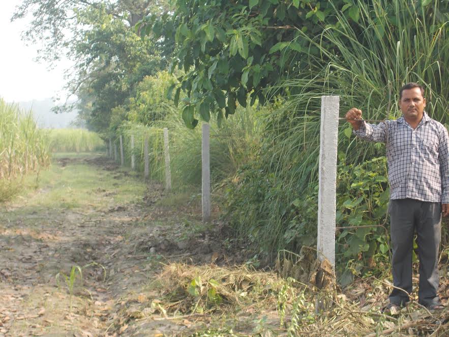 kanchanpur
