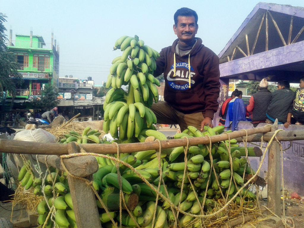 झलारी बजारमा केरा बेच्न बसेका कञ्चनपुरका किसान । तस्बिरः राजेन्द्रप्रसाद पनेरु, रासस, कञ्चपुर