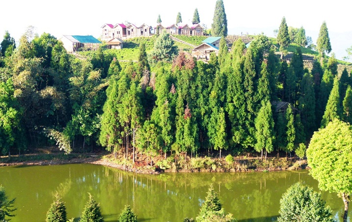 फाइल फोटो